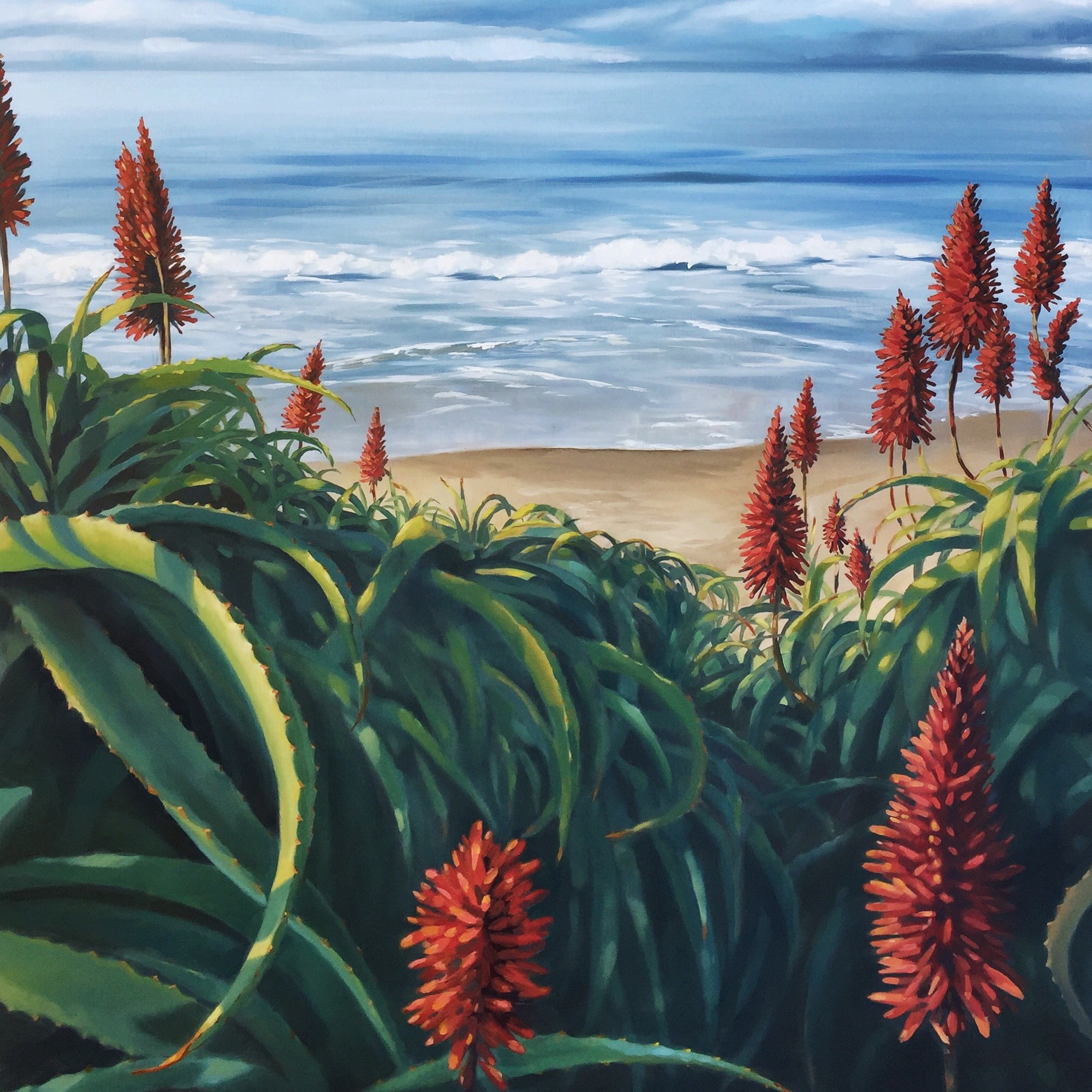 Butterly Beach Aloes