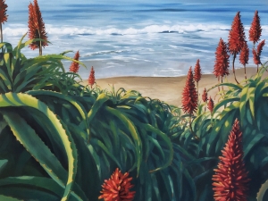 Butterly Beach Aloes