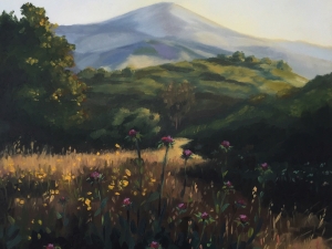 Ojai Hills 9 x 12 inches